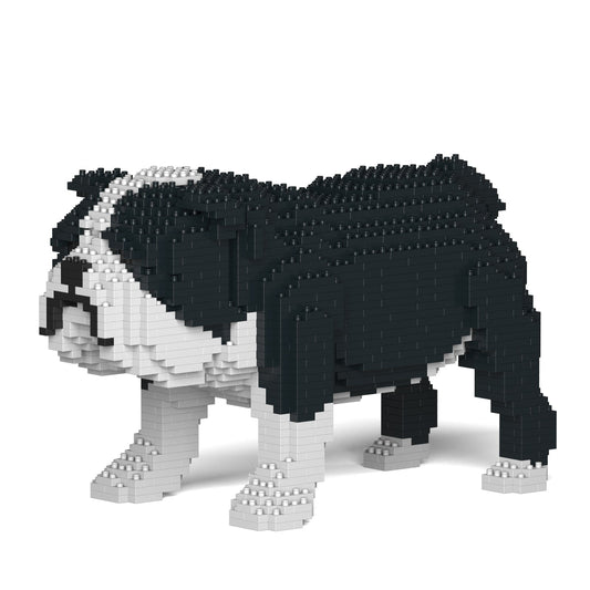 English Bulldog 01-M04