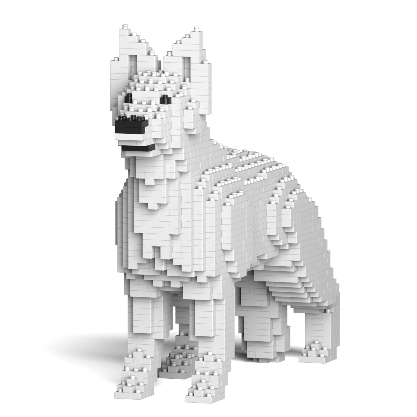 German Shepherd 01-M02