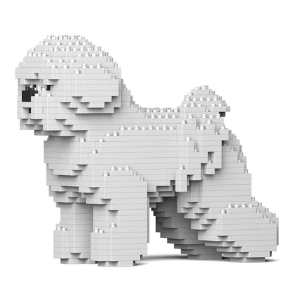 Bichon Frise 01