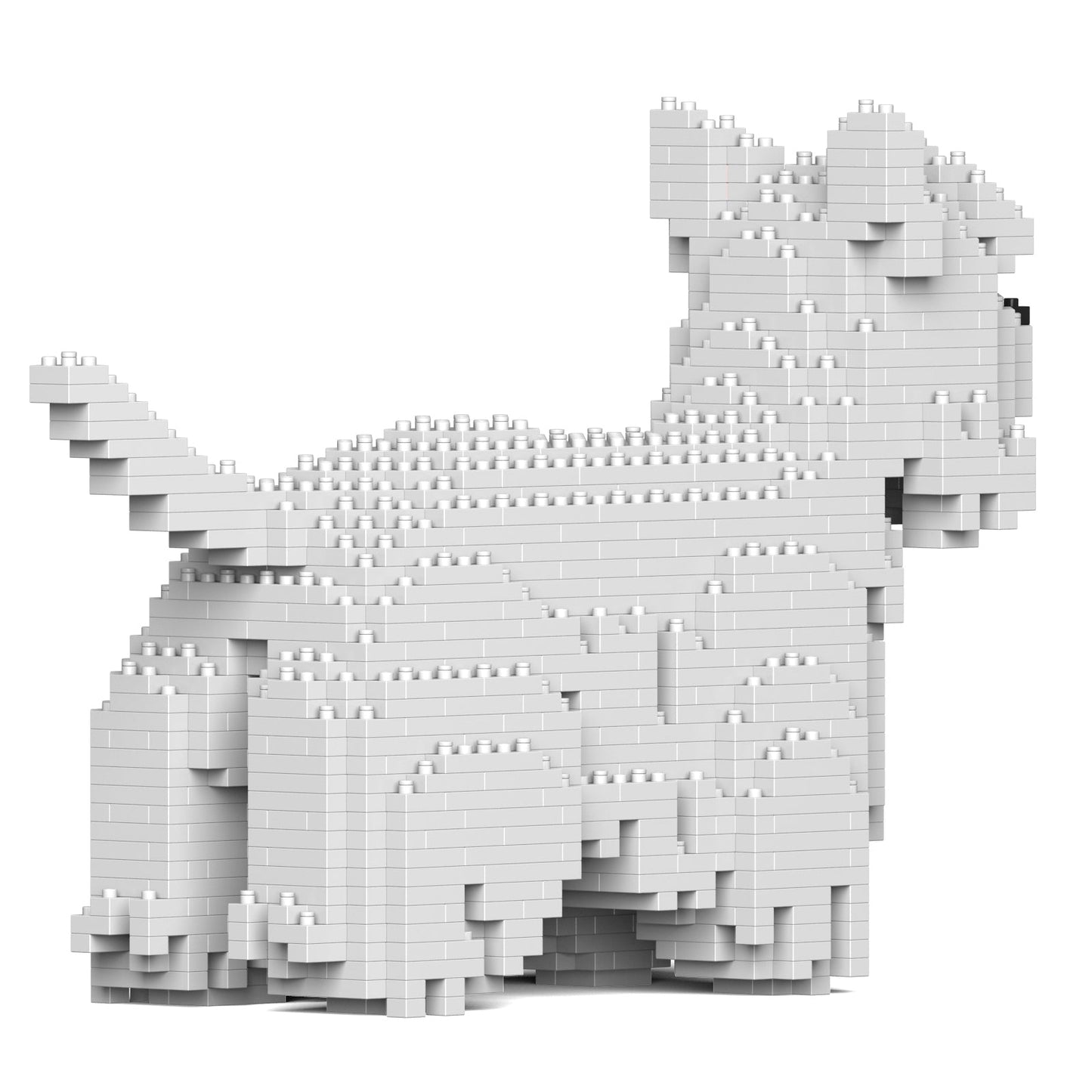 West Highland White Terrier 01