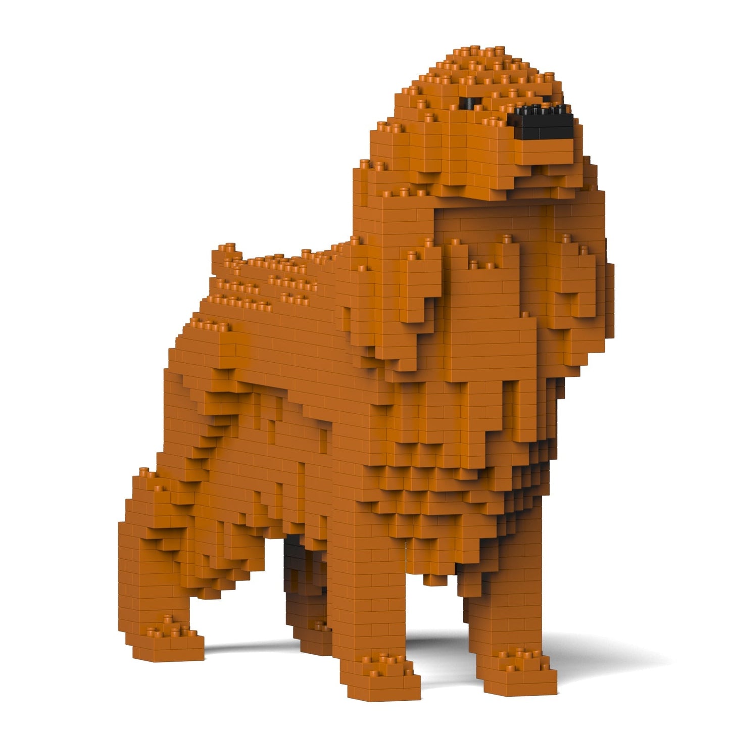 English Cocker Spaniel 01-M03