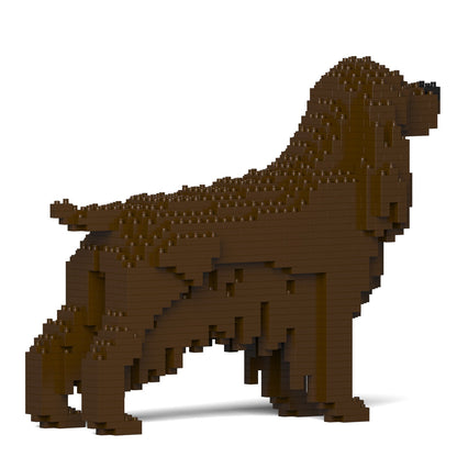 English Cocker Spaniel 01-M04