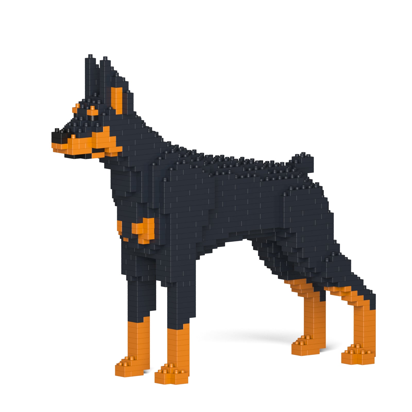 Shops doberman doberman pinscher