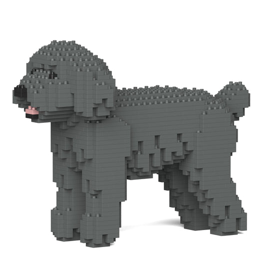 Toy Poodle 01-M06