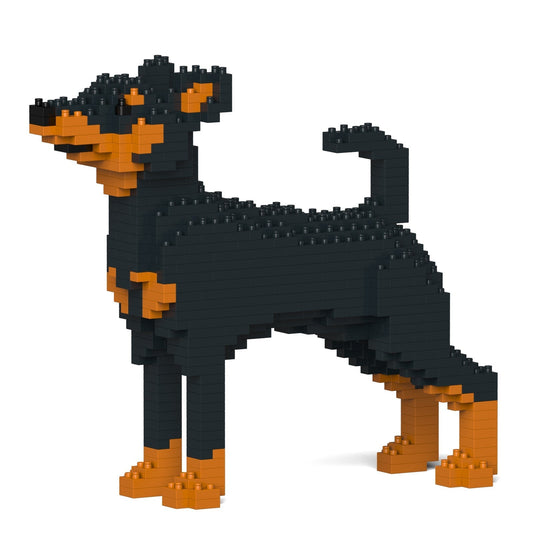 Miniature Pinscher 01-M01