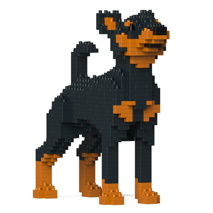 Miniature Pinscher 01-M01