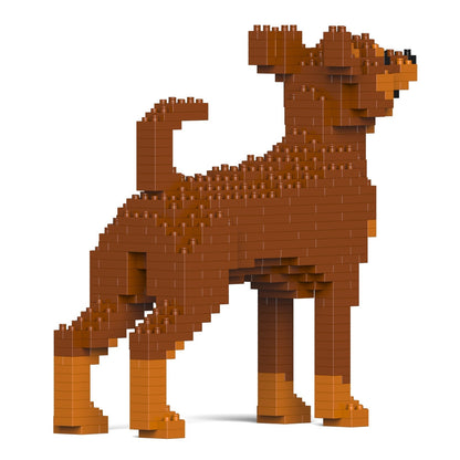 Miniature Pinscher 01-M02