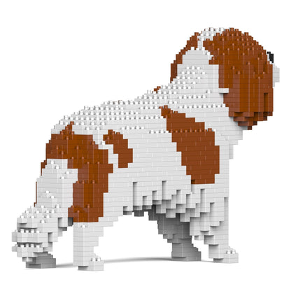 Cavalier King Charles Spaniel 01-M01