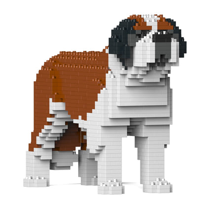 St. Bernard 01