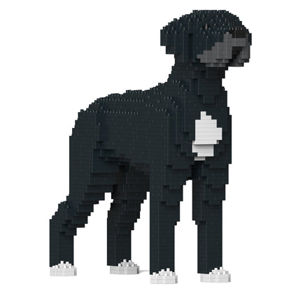 Great Dane 01-M02