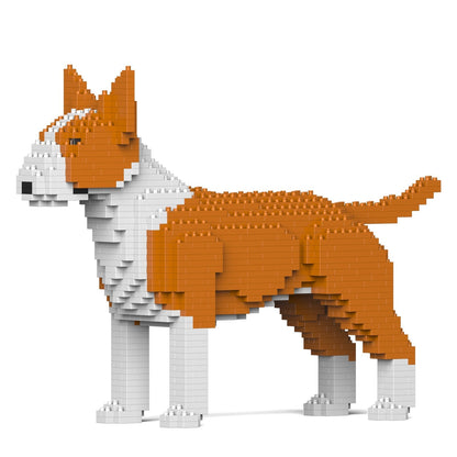 English Bull Terrier 01-M02