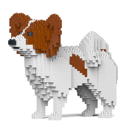 Papillon Dog 01-M02