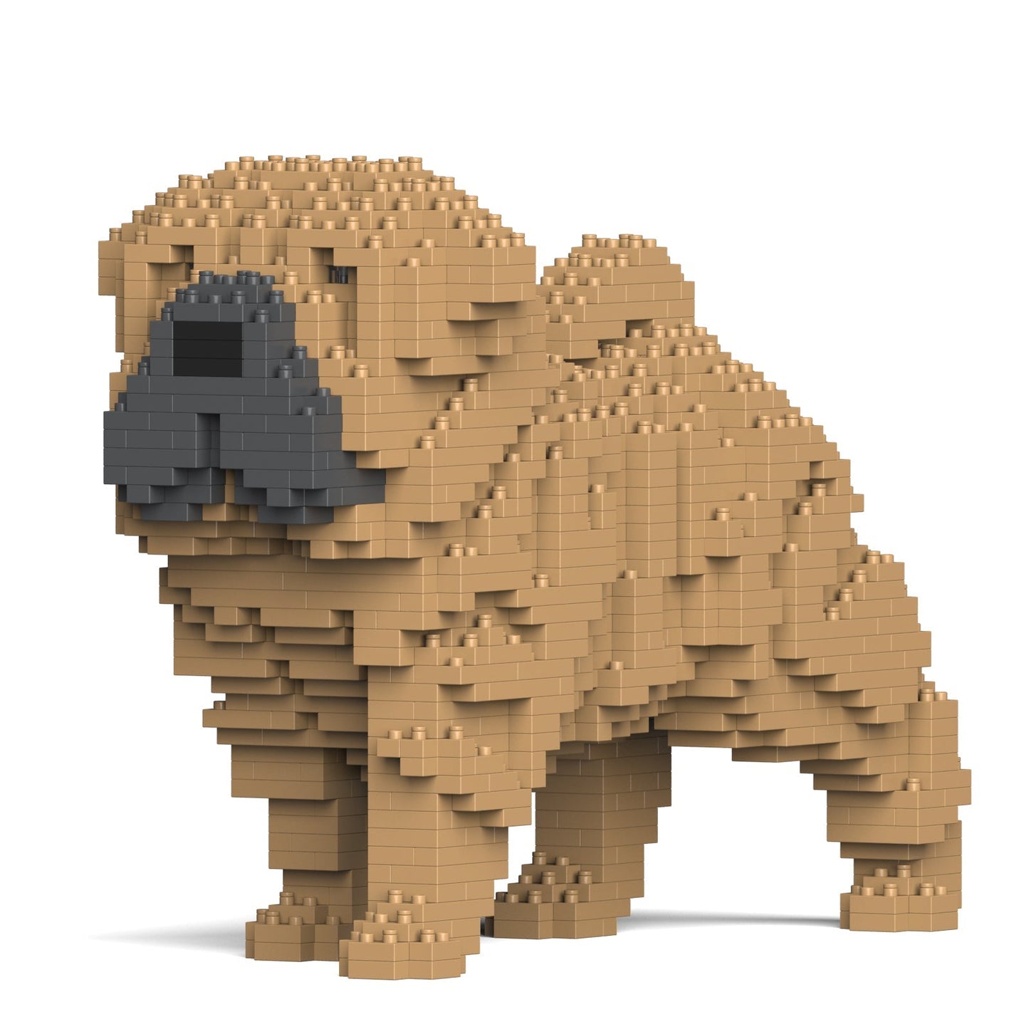 Shar Pei Dog 01-M01