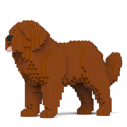 Newfoundland Dog 01-M01