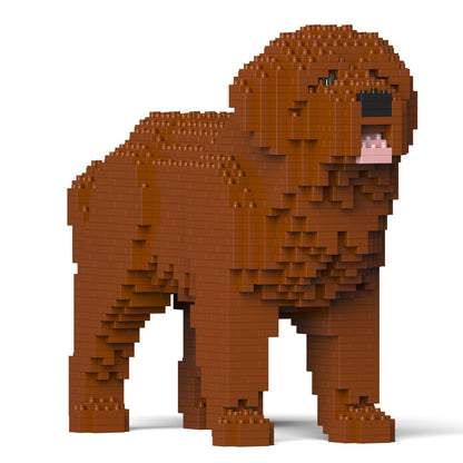 Newfoundland Dog 01-M01