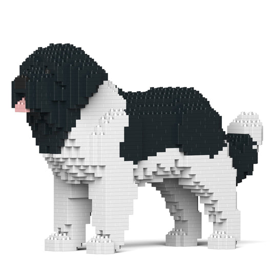 Newfoundland Dog 01-M03