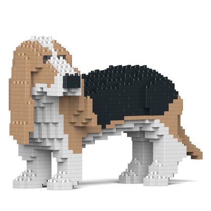 Basset Hound 01-M02