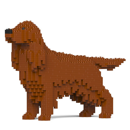 Irish Setter 01-M01