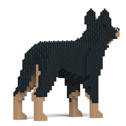 Australian Kelpie 01-M01