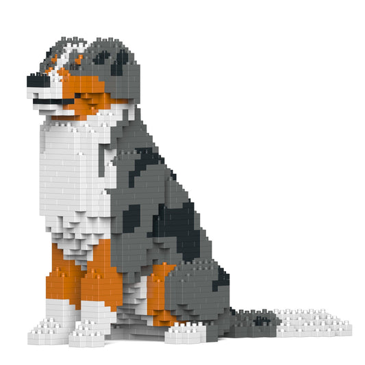 Australian Shepherd 01-M01B