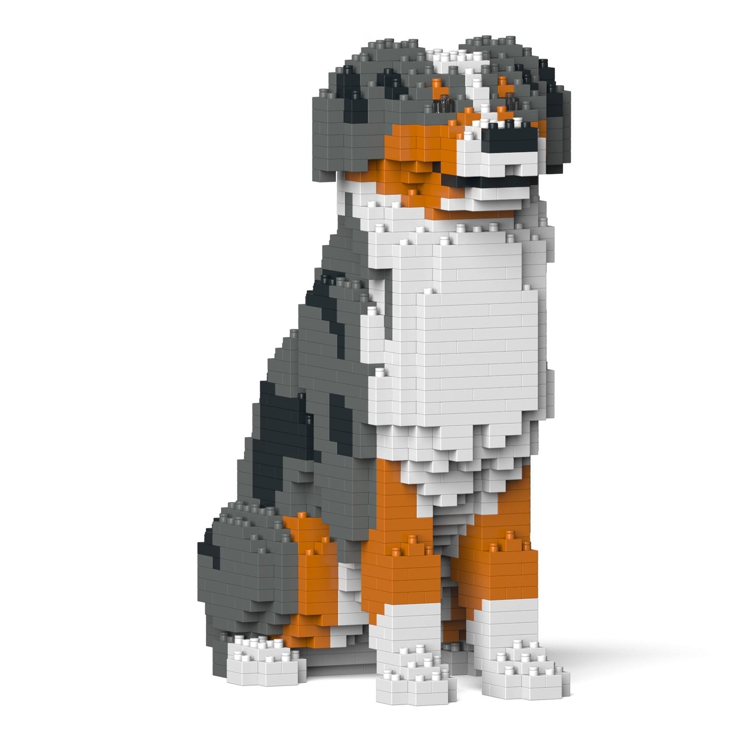 Australian Shepherd 01-M01B