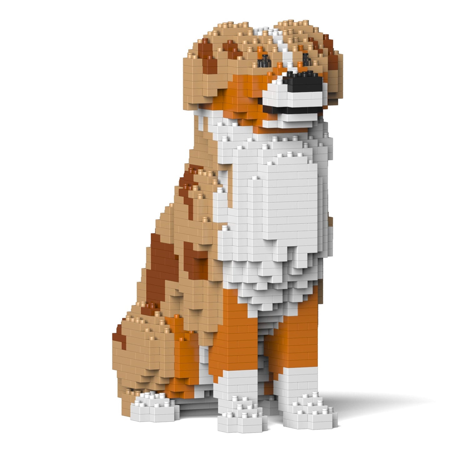 Australian Shepherd 01-M02