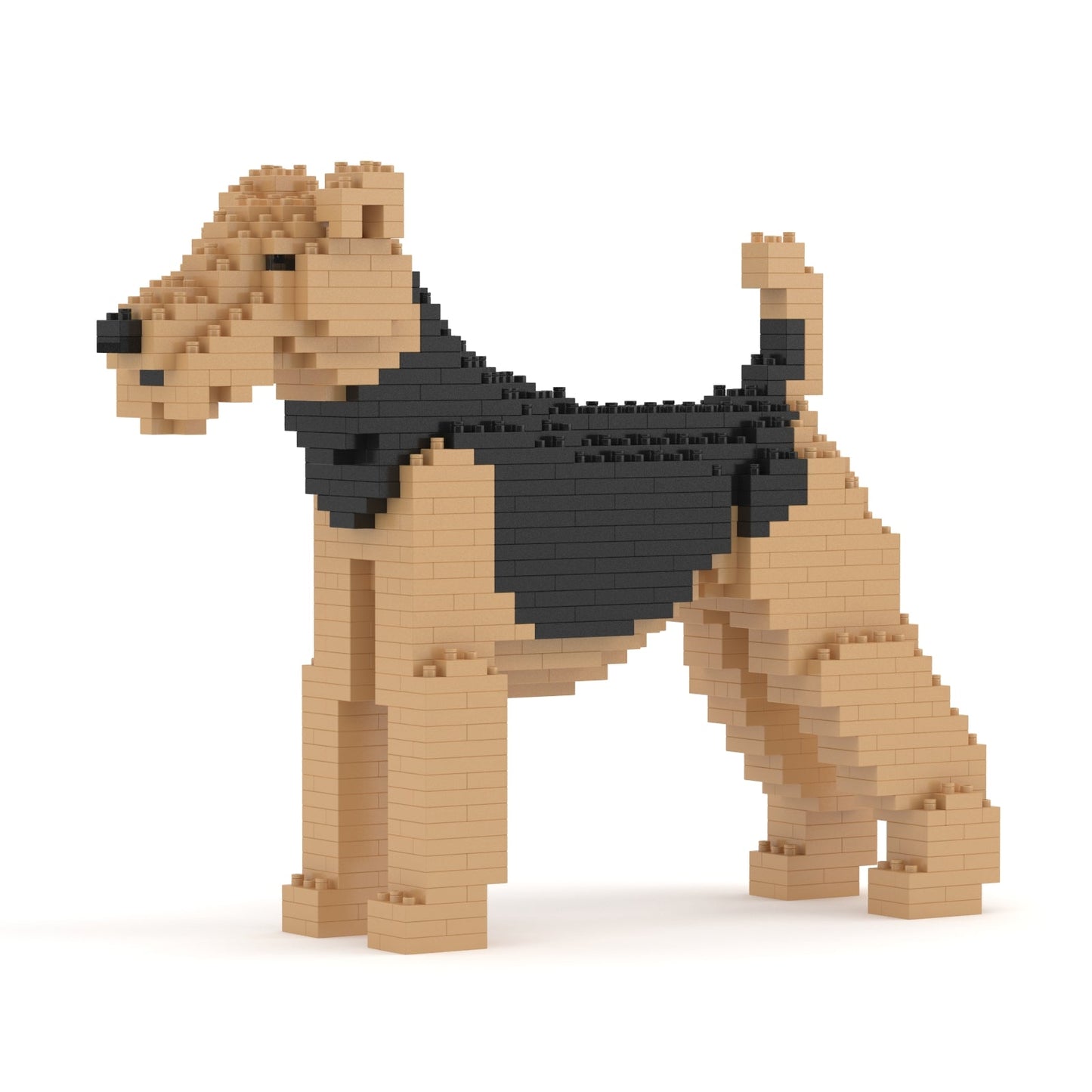 Airedale Terrier 01