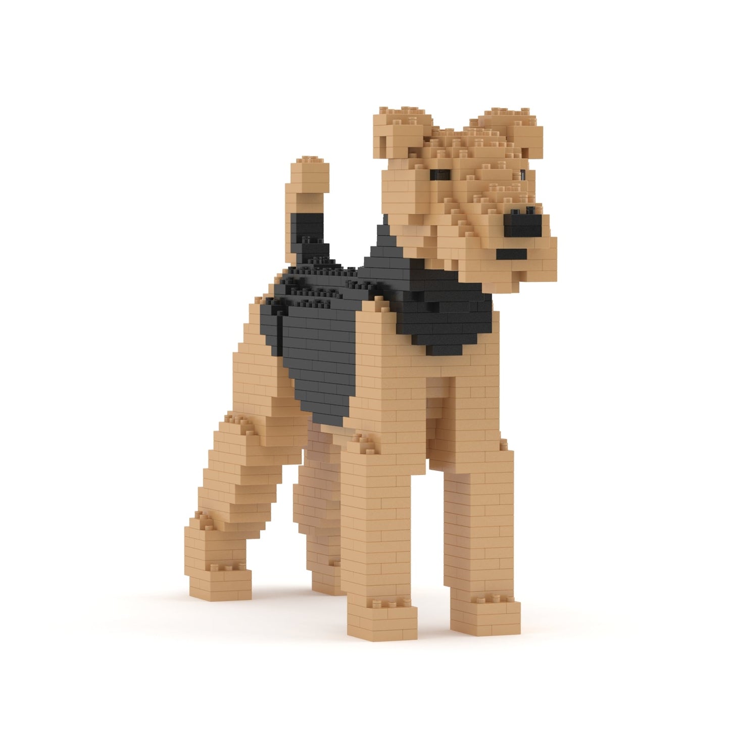 Airedale Terrier 01