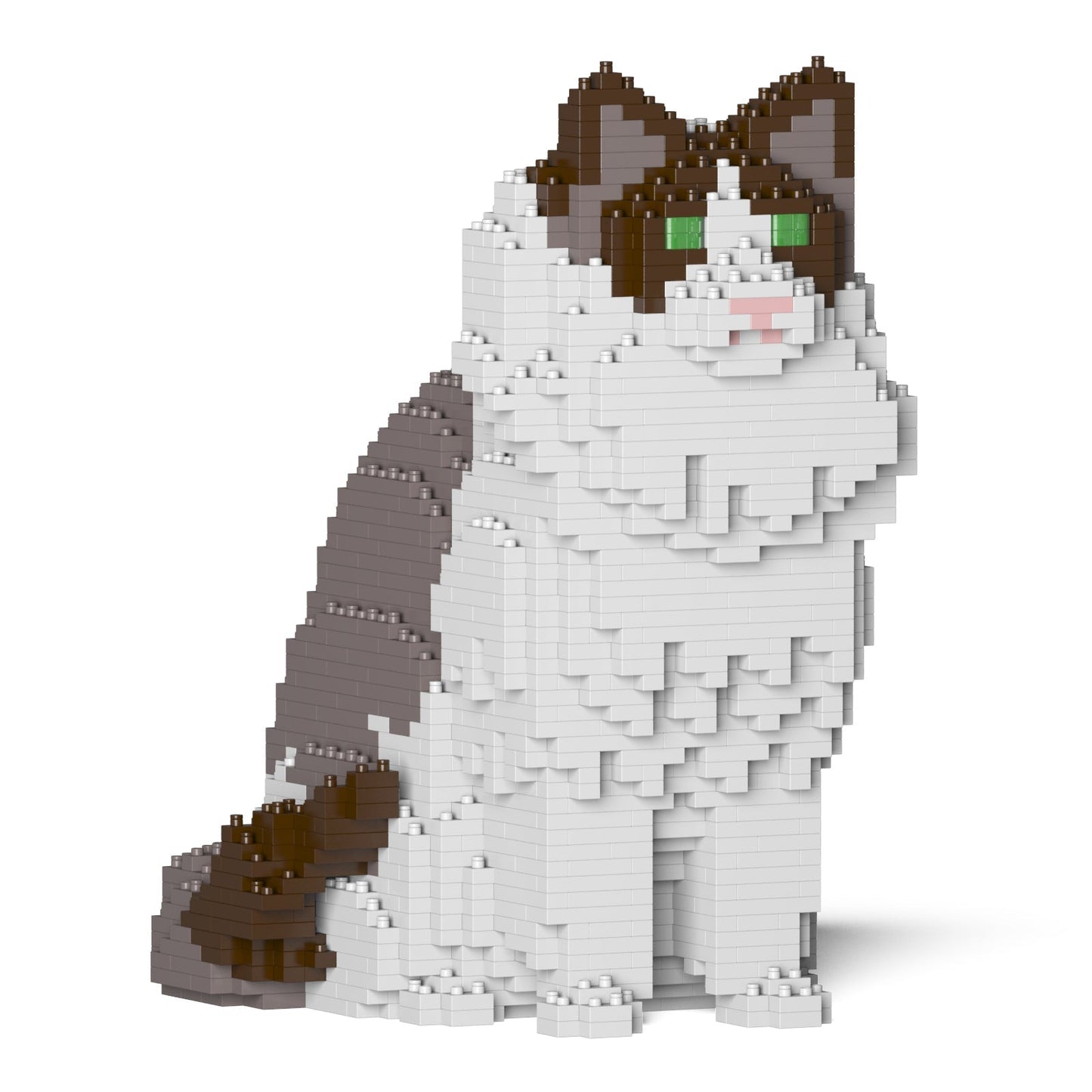 Ragdoll Cat 01S-M01