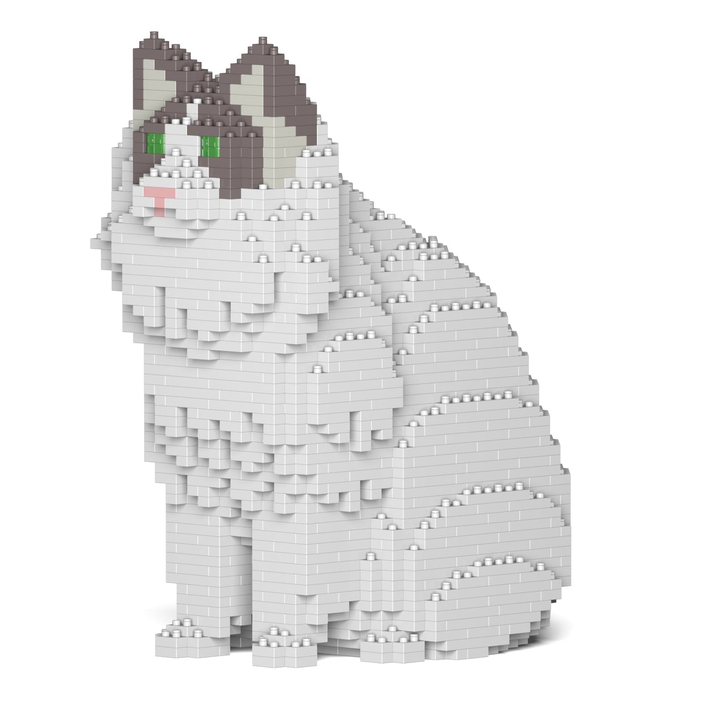 Ragdoll Cat 01S-M02