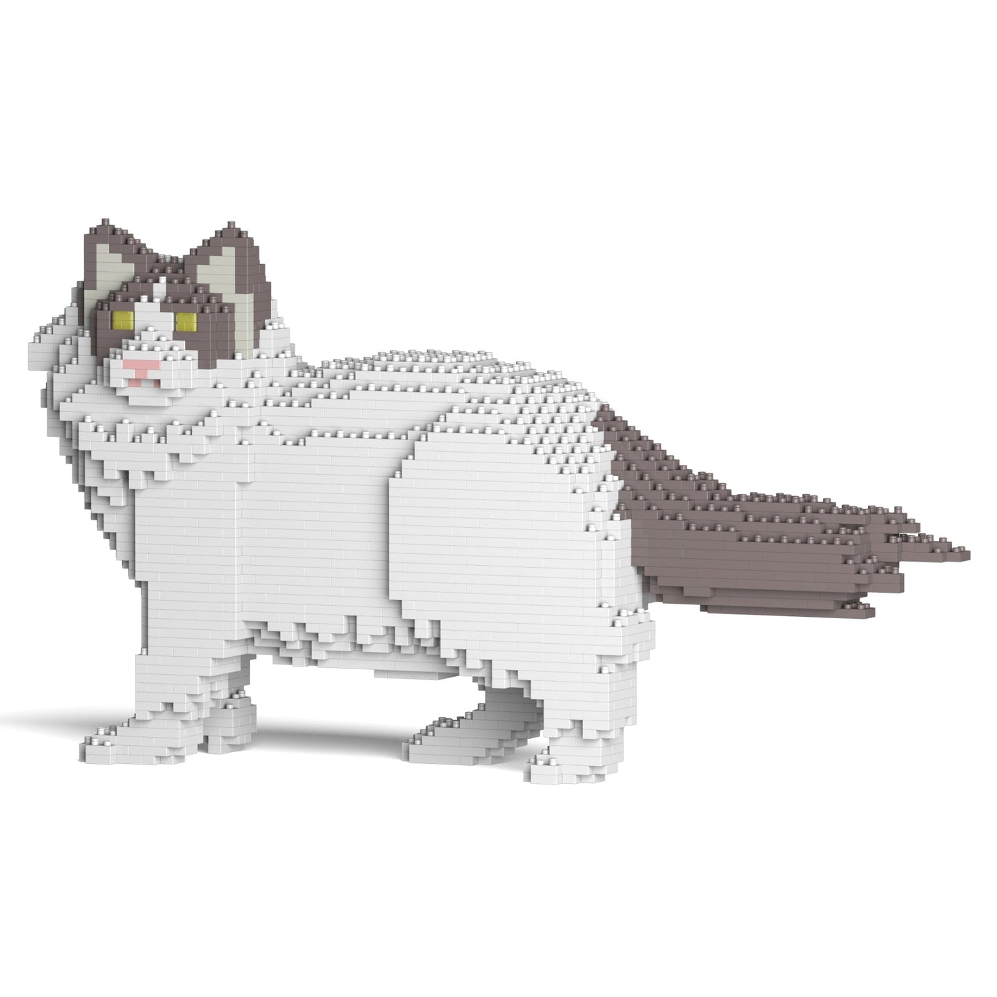 Ragdoll Cat 02S-M02