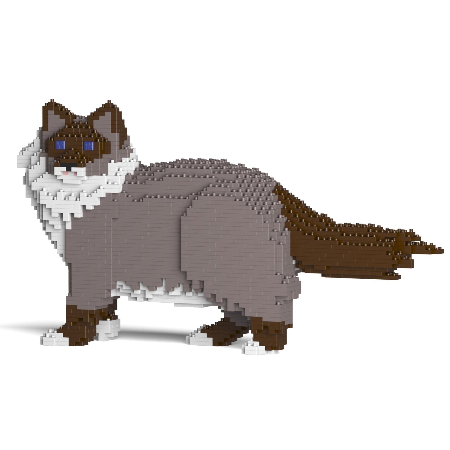 Ragdoll Cat 02S-M03