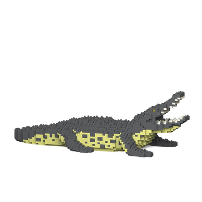 Crocodile 01