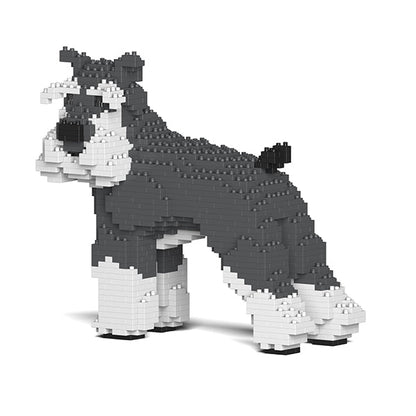 Standard Schnauzer 02-M01