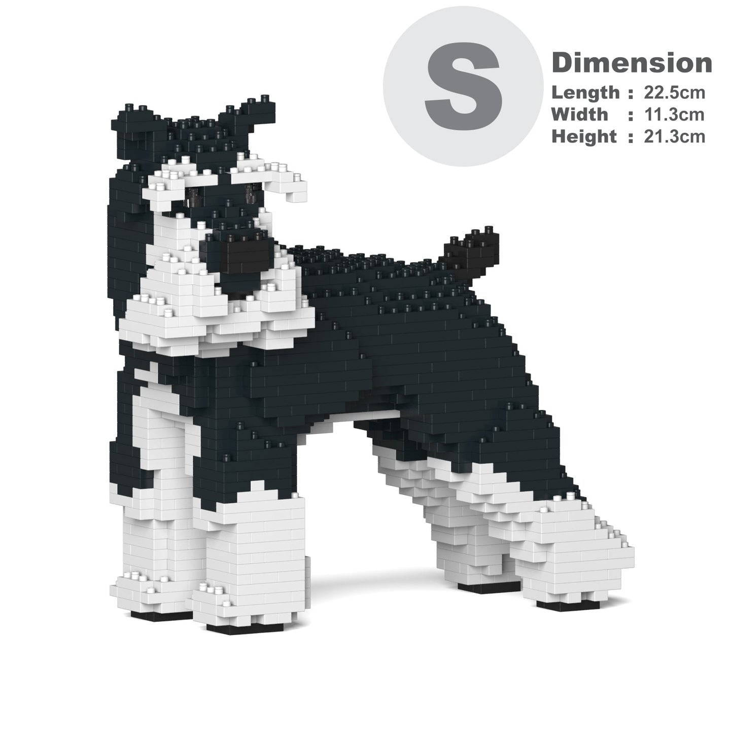 Standard Schnauzer 02-M02