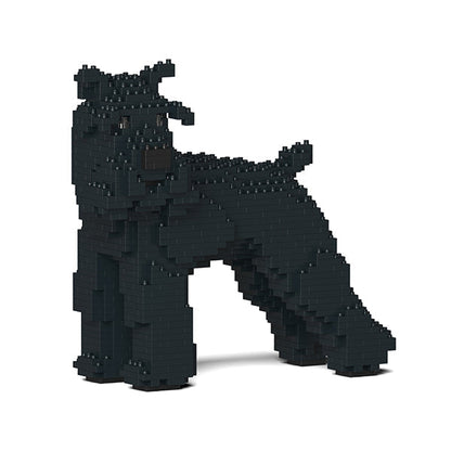 Standard Schnauzer 02-M03