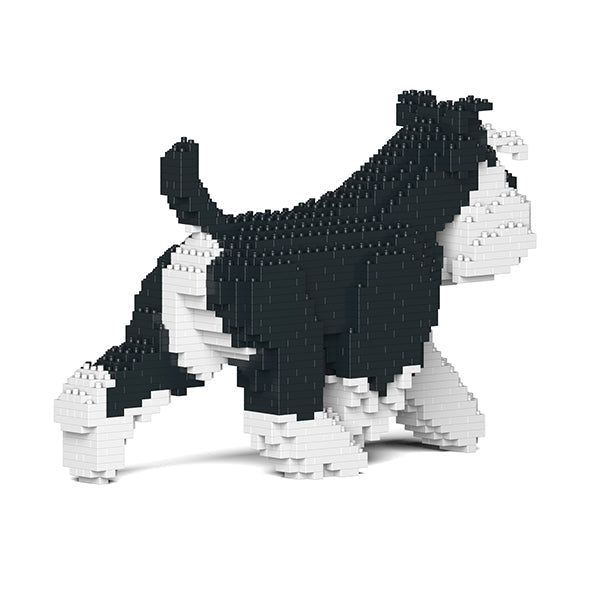 Standard Schnauzer 03-M02