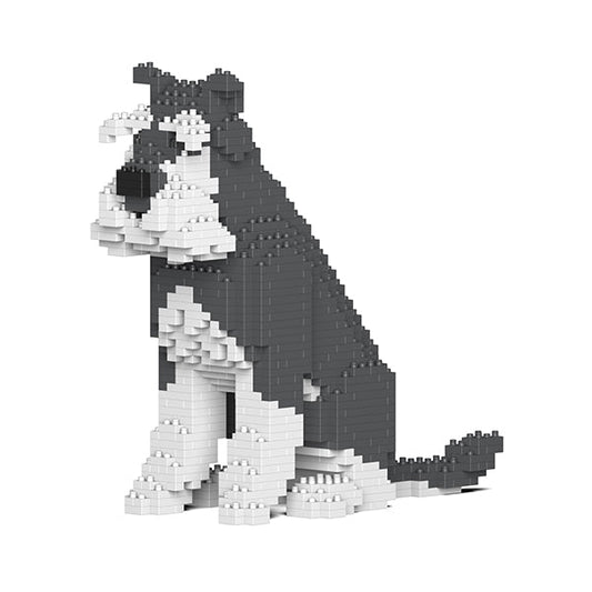 Standard Schnauzer 04-M01