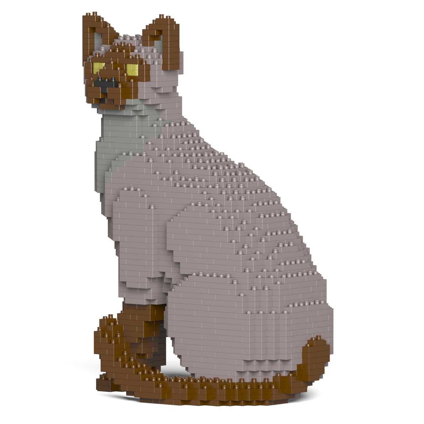 Tonkinese Cat 01S-M01