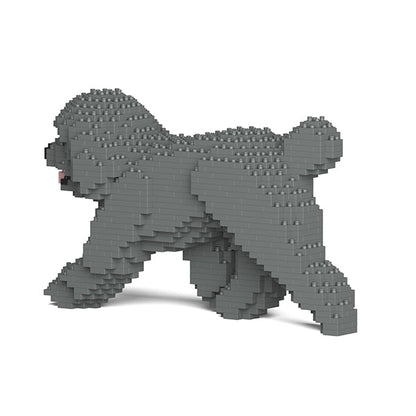 Toy Poodle 02-M06