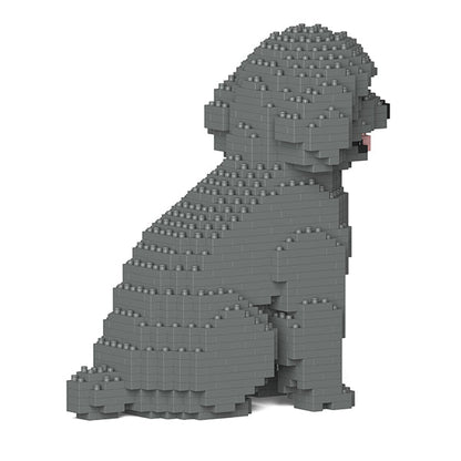 Toy Poodle 03-M06