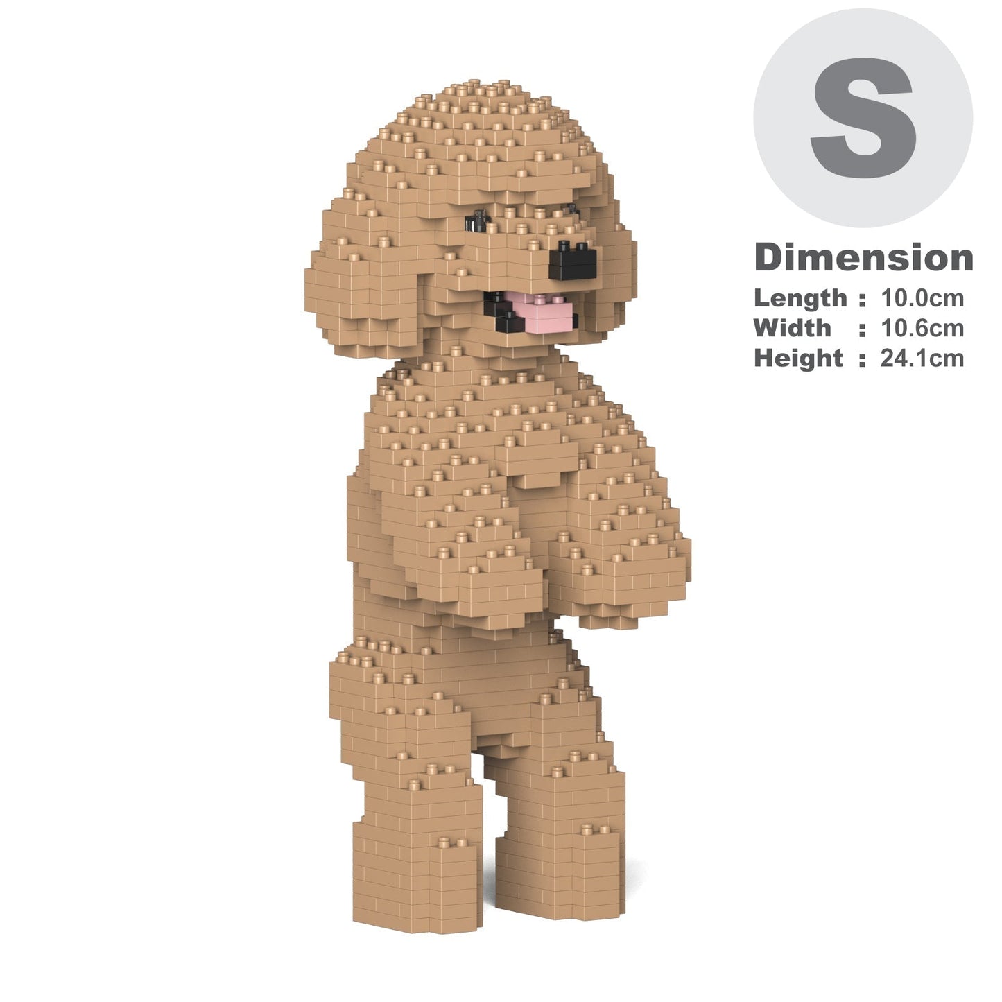 Toy Poodle 04-M03