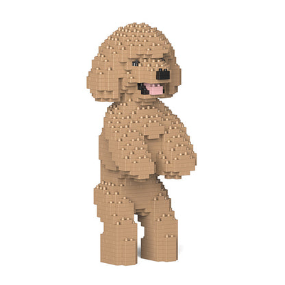 Toy Poodle 04-M03