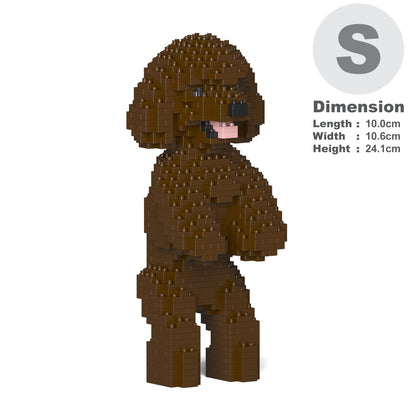 Toy Poodle 04-M05