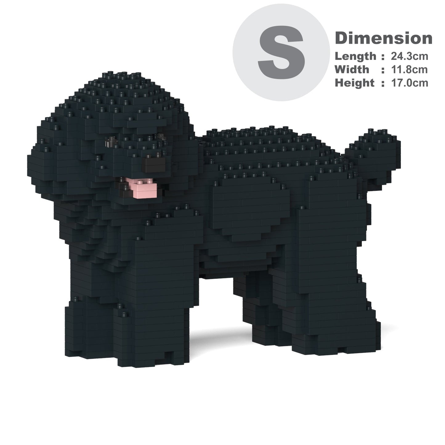 Toy Poodle 05-M02