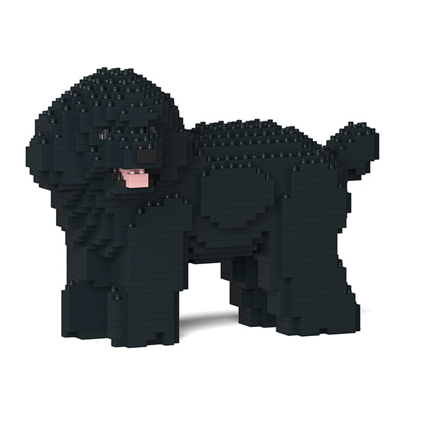 Toy Poodle 05-M02