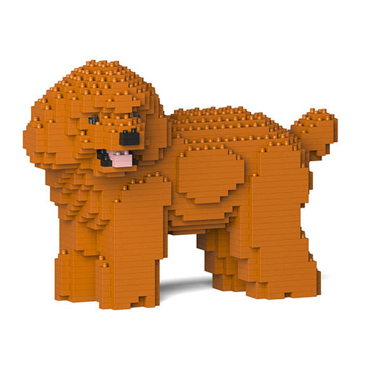 Toy Poodle 05-M04