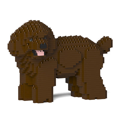 Toy Poodle 05-M05