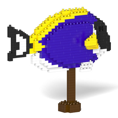 Powder Blue Tang 01