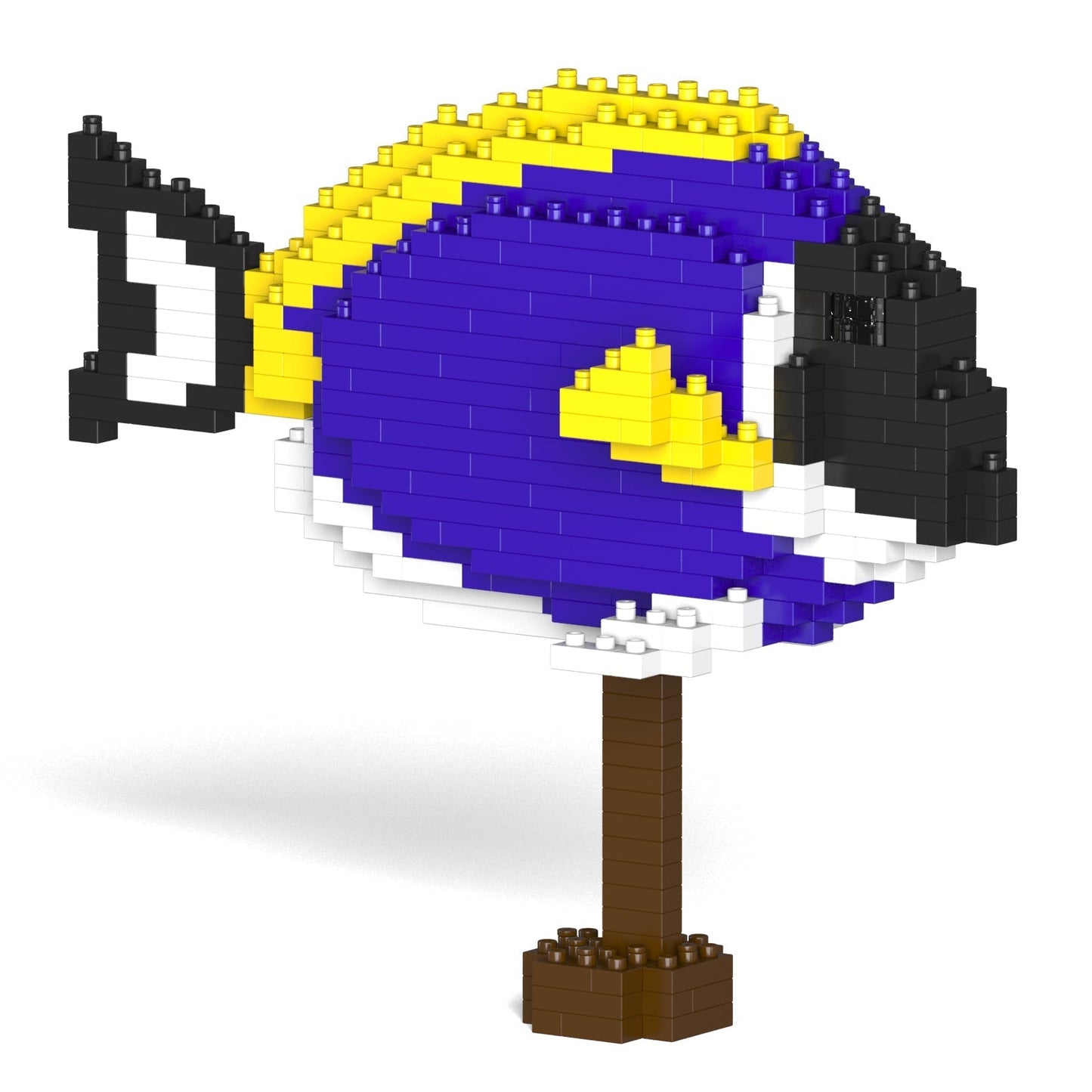 Powder Blue Tang 01